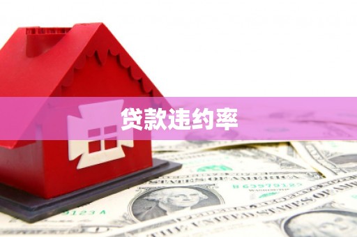 学甲贷款违约率