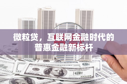 学甲微粒贷，互联网金融时代的普惠金融新标杆