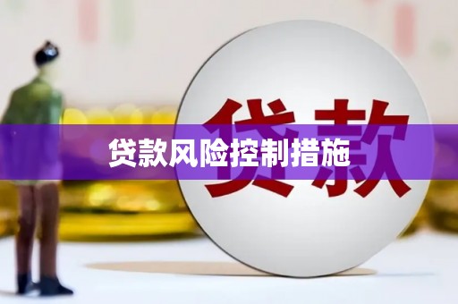 学甲贷款风险控制措施