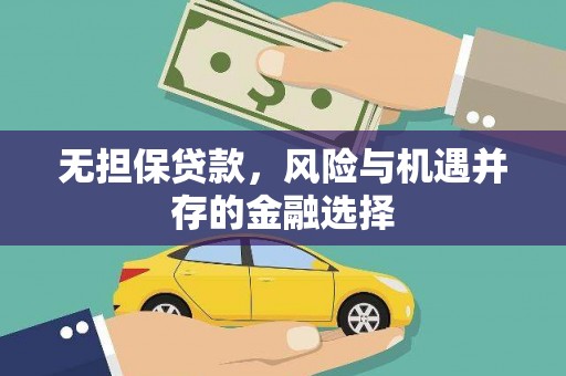 学甲无担保贷款，风险与机遇并存的金融选择