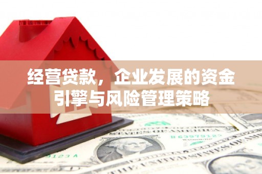 学甲经营贷款，企业发展的资金引擎与风险管理策略