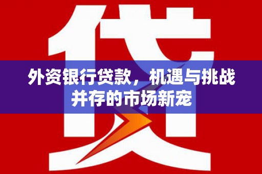 学甲外资银行贷款，机遇与挑战并存的市场新宠