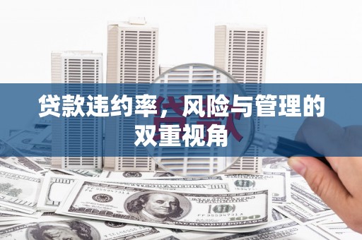 学甲贷款违约率，风险与管理的双重视角