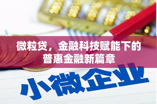 学甲微粒贷，金融科技赋能下的普惠金融新篇章