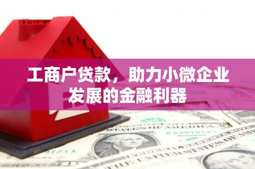 学甲工商户贷款，助力小微企业发展的金融利器