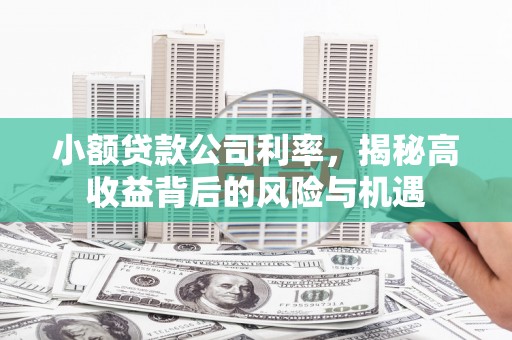 学甲小额贷款公司利率，揭秘高收益背后的风险与机遇