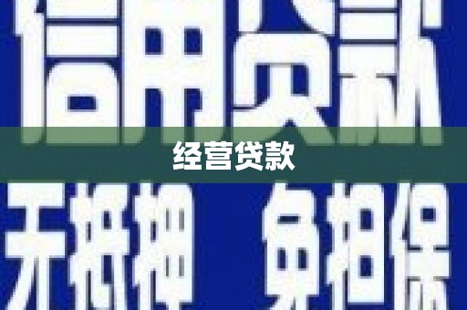 学甲经营贷款
