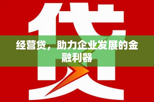 学甲经营贷，助力企业发展的金融利器
