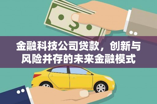 学甲金融科技公司贷款，创新与风险并存的未来金融模式