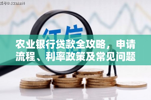 学甲农业银行贷款全攻略，申请流程、利率政策及常见问题解析