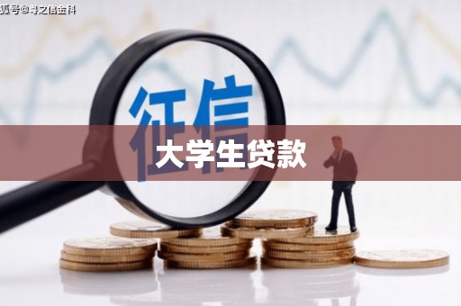 学甲大学生贷款