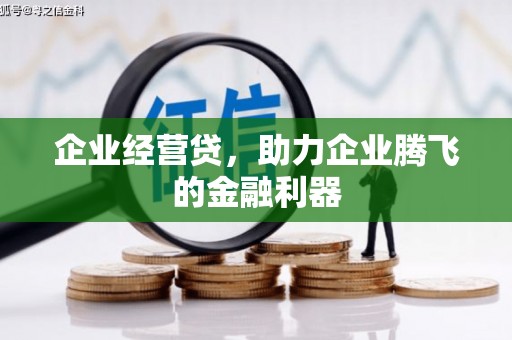 学甲企业经营贷，助力企业腾飞的金融利器