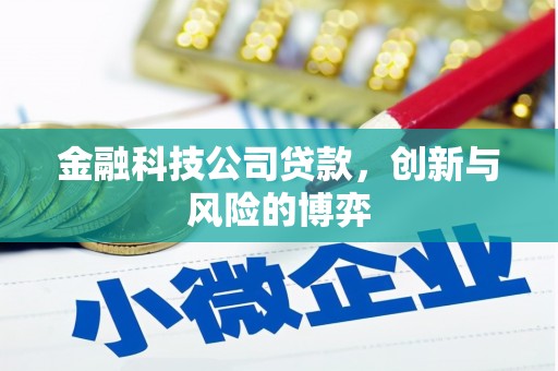 学甲金融科技公司贷款，创新与风险的博弈