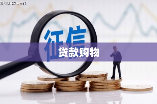 学甲贷款购物