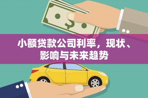 学甲小额贷款公司利率，现状、影响与未来趋势
