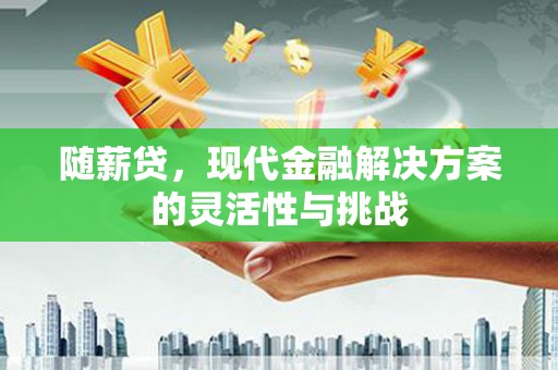学甲随薪贷，现代金融解决方案的灵活性与挑战