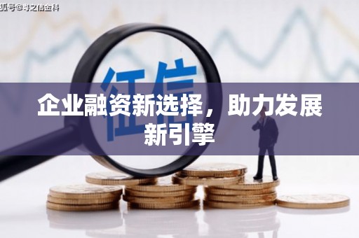 学甲企业融资新选择，助力发展新引擎