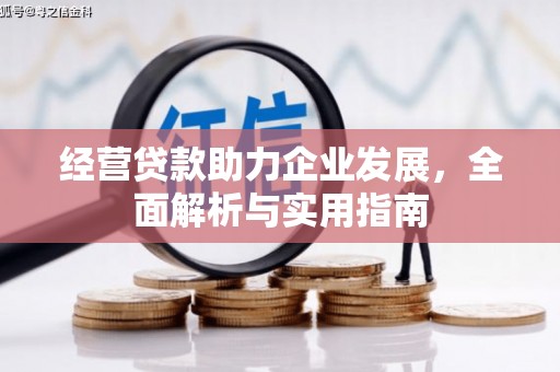 学甲经营贷款助力企业发展，全面解析与实用指南