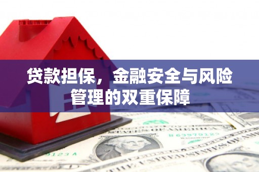 学甲贷款担保，金融安全与风险管理的双重保障