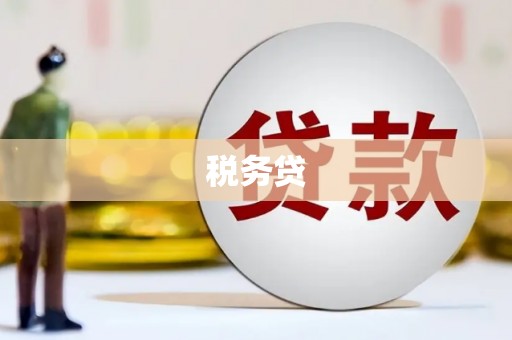 学甲税务贷