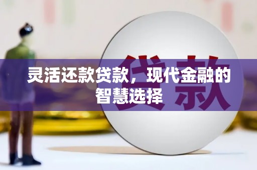 学甲灵活还款贷款，现代金融的智慧选择