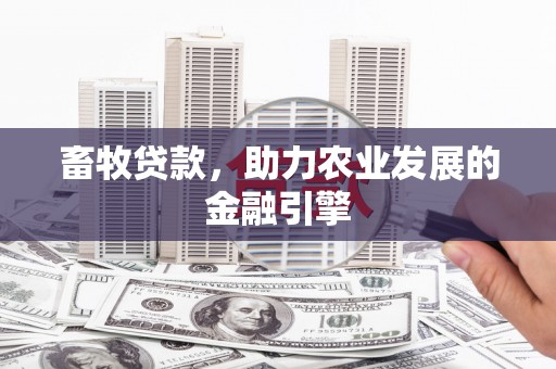 学甲畜牧贷款，助力农业发展的金融引擎