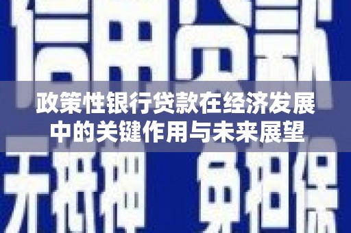 学甲政策性银行贷款在经济发展中的关键作用与未来展望