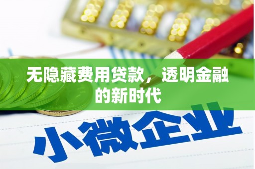 学甲无隐藏费用贷款，透明金融的新时代