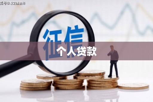 学甲个人贷款