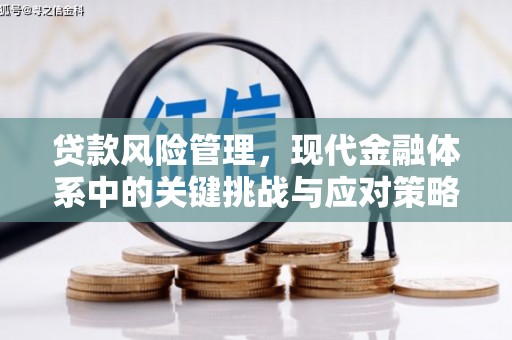 学甲贷款风险管理，现代金融体系中的关键挑战与应对策略