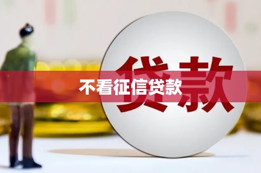 学甲不看征信贷款