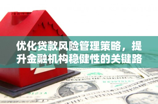 学甲优化贷款风险管理策略，提升金融机构稳健性的关键路径