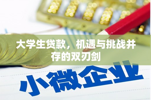 学甲大学生贷款，机遇与挑战并存的双刃剑