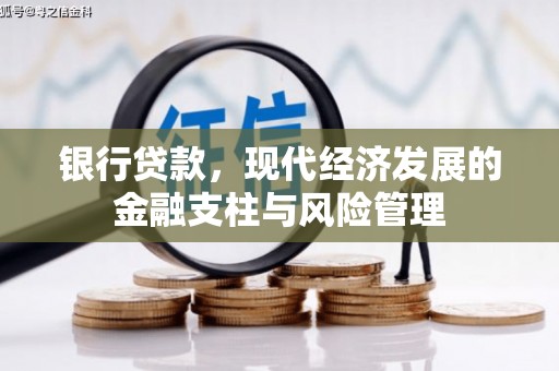 学甲银行贷款，现代经济发展的金融支柱与风险管理