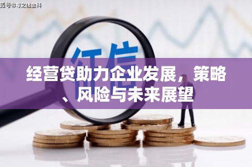 学甲经营贷助力企业发展，策略、风险与未来展望