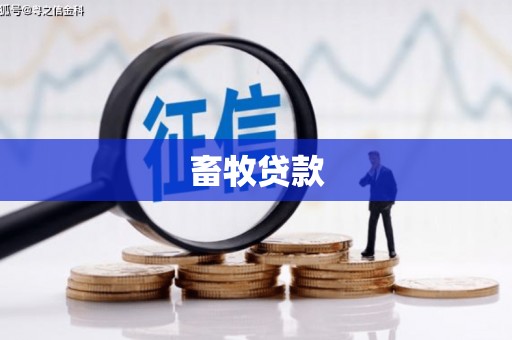学甲畜牧贷款