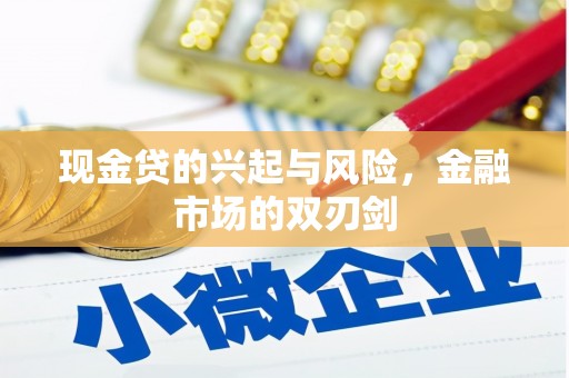 学甲现金贷的兴起与风险，金融市场的双刃剑