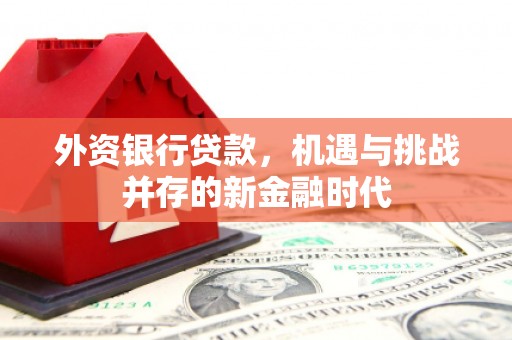 学甲外资银行贷款，机遇与挑战并存的新金融时代