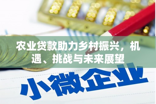 学甲农业贷款助力乡村振兴，机遇、挑战与未来展望