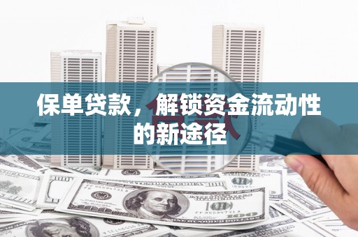 学甲保单贷款，解锁资金流动性的新途径