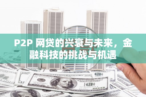 学甲P2P 网贷的兴衰与未来，金融科技的挑战与机遇
