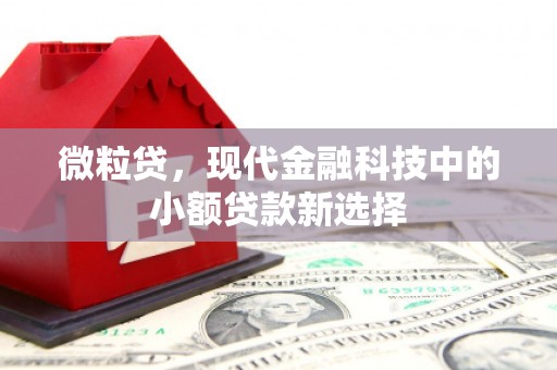 学甲微粒贷，现代金融科技中的小额贷款新选择