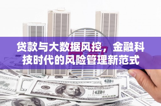 学甲贷款与大数据风控，金融科技时代的风险管理新范式