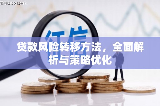 学甲贷款风险转移方法，全面解析与策略优化