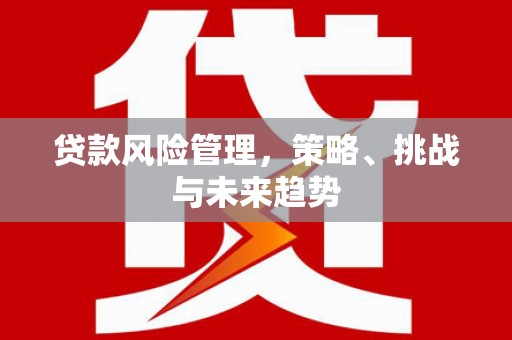 学甲贷款风险管理，策略、挑战与未来趋势