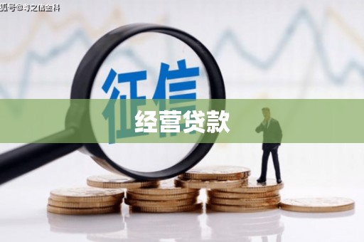 学甲经营贷款
