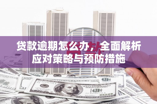 学甲贷款逾期怎么办，全面解析应对策略与预防措施