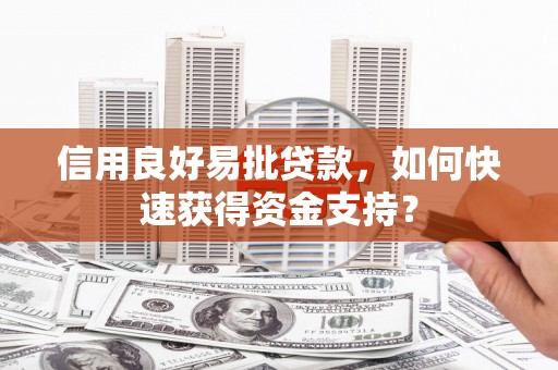 学甲信用良好易批贷款，如何快速获得资金支持？