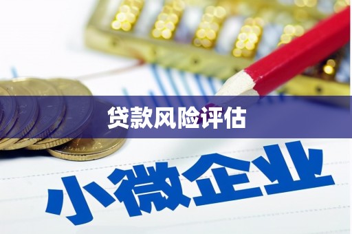 学甲贷款风险评估