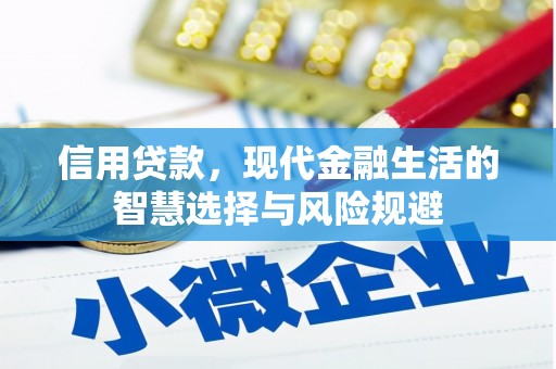学甲信用贷款，现代金融生活的智慧选择与风险规避